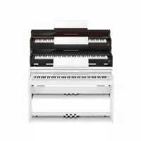 在飛比找Yahoo!奇摩拍賣優惠-CASIO APS450 AP-S450 電鋼琴 木質琴鍵 