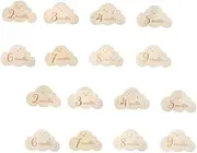 VICASKY Cloud Shaped Wooden Monthly Photo Cards Baby Announcement Markers Pregnancy Journey Photo Props 2 Pack