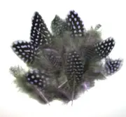 Spotted Guinea Hen Feathers 1-4" Body Plumage LAVANDER dyed 1/4 oz bag