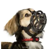 Baskerville Ultra Dog Muzzle Muzzles ~ Comfortable New in the Box | Size 1
