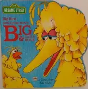BIG BIRD AND LITTLE BIRD'S BOOK OF BIG AND LITTLE By A. Delaney **BRAND NEW**