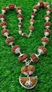 Indrakshi Mala / Combination of 1 Mukhi Rudraksh to 21 Mukhi Rudraksha in Silver
