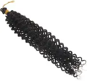 WRITWAA Wavy Curly Wig Curly Human Hair Wig Women Braided Hair Extensions Womens Braid Extensions High Temperature Wire Black