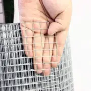 48 in. Steel Coated Hardware Cloth 19 Gauge 1/2 in. Welded Wire Fence Supports
