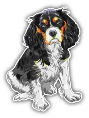 Cavalier King Charles Spaniel Breed Dog Car Bumper Sticker Decal