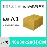 在飛比找Yahoo!奇摩拍賣優惠-【40X30X20 CM B浪】【100入】 【桃園紙箱小將