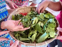 在飛比找KKday優惠-台灣台東|嘉蘭部落食農體驗一日遊|VUVU野菜料理 & 小米
