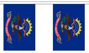 NORTH DAKOTA U.S. STATE BUNTING 9 metres 30 flags Polyester flag