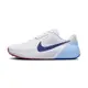 Nike Air Zoom TR 1 男 白藍色 訓練 運動 重訓 穩定 訓練鞋 休閒鞋 DX9016-102