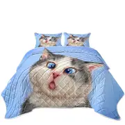 Cats Funny Faces Drawings Blue Eyes Grey Kitten Coverlet