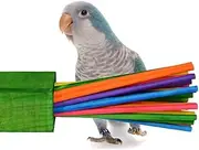 Super Bird Creations SB50301 Chewable Paper Party Bird Toy with Colorful Lollipop Sticks, Large Size, 6.5” x 1.5” x 1.5” (2 Pack)