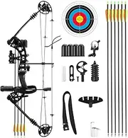 20-55lbs Compound Bow Arrow Set Archery Hunting Target Shooting Right Hand 6 Arrows 310fps Adjustable Masters Beginner Bow Kit,Outdoor Fishing,Black