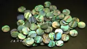 100+5pcs Free Paua Abalone Inlay Dots 6.35mm/1/4" ,Colorful/Shiny Front, A Grade