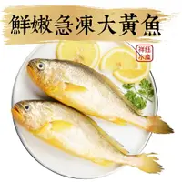 在飛比找樂天市場購物網優惠-★祥鈺水產★ 金嫩急凍大黃魚 約600g~700g/尾