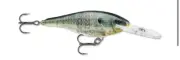 Rapala SR-7 Shad Rap Live Bluegill
