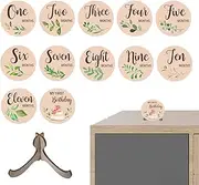 Monthly Baby Milestone Cards, Baby Milestone Cards, Milestone Cards Sign Baby Milestone Blocks Made of Wood, Double-Sided Photo Prop Discs, Round Baby Announcement Cards, Pregnancy