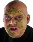 Zombie Rot Makeup Undead Green Monster Fancy Dress Halloween Costume Accessory