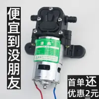 在飛比找蝦皮商城精選優惠-農用電動噴霧器電機水泵凌奧12v高壓電噴霧器水泵電噴壺配件馬