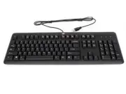 HP Hewlett Packard KB57211 English Standard QWERTY USB Keyboard NEW IN BOX!!