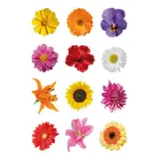 Herma Coloured Gerberas Sticker