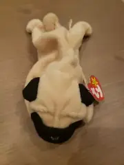 1996 Ty Beanie Baby Pugsly, Mint Condition w/ Tag Errors