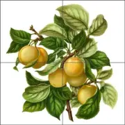 Prune Tile Backsplash Abraham Wendel Fruit Art Ceramic Mural AJW001