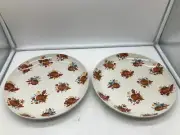 Celebrate Together Stoneware 10in Dinner Fall Pumpkin Set of 2 CC02B56003