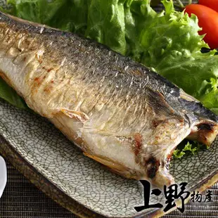 【上野物產】台灣宜蘭產地直送 薄鹽鯖魚 (160g±10%/片 )x10片