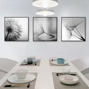 Stretched Botanical dandelions black white 3 sets Wall Art Home Decor
