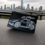 Tesla Model X/Elon Musk And Lil X Laser Etched on Anodized SS Business Card