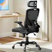 Ergonomic Mesh High Back Office Chair, Adjustable Lumbar Support with Headres...
