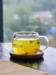耐熱玻璃金絲皇菊養生杯小清新中式風格商用高溫玻璃杯 (8.3折)