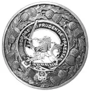 Young Clan Badge Scottish Plaid Brooch