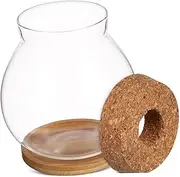 FUTUREORYY Betta Fish Tank Glass Desktop with Bamboo Cushion for Betta Fish Hydroponic Plants for Home Office Decoration