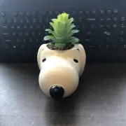 Peanuts Snoopy Face Ceramic Mini Planter with Artificial Succulent 3.5" x 5" NEW