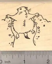 Groundhog Rubber Stamp, Groundhog Day J19901 WM
