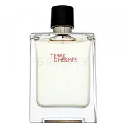 Hermes Terre D'Hermes Eau de Toilette Men 100 ml