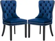 AADEN Velvet Fabric Dining Chairs Luxury Tufted Back with Nailed Trim and Back Ring Pull Home Kitchen Dining Room Chairs Armless Side Chairs Solid Rubber Wood Legs, Set of 2 (Blue)