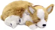 Perfect Petzzz Corgi