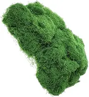 DIY Artificial Moss 200g Fake Moss for Potted Plants Realistic Faux Ferns Decorative for Terrariums