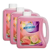 3PK Northfork 2L Liquid Hand Wash Care Gentle Hand Soap Guava Papaya & Cucumber