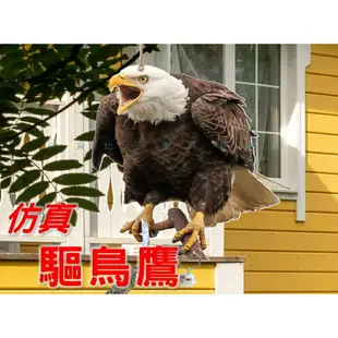 @貨比三家不吃虧@仿真驅鳥鷹 驅鳥反光 立柱老鷹仿真 趕鳥神器 驅鳥彩帶 陽臺驅鳥 菜園防鳥 庭院防鳥 防鳥貓頭鷹