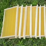 巢框中蜂巢礎框成品帶框全套蜂巢蜂蠟意蜂巢脾蜜蜂箱養蜂工具蜂具