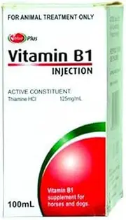 Value Plus Vitamin B1 100Ml