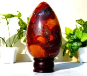 Large 150MM Red King Cobra Jasper Stone Metaphysical Minerals EGG
