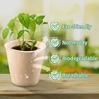 Seedlings Starter Tray Pollution-free Plant Pots Biodegradable Nursery