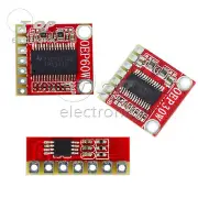 3W/30W/60W D Class Mono OEP3W/30W/60W Digital Amplifier Board Module