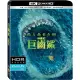 【得利】巨齒鯊 UHD+BD雙碟限定版 UHD