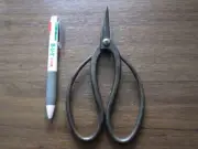 Ikebana Scissors Bonsai Scissors 'Honjouji Noboru', High-Quality Scissors 18.5cm