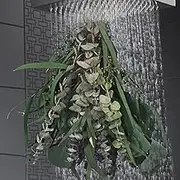 25/123Pcs Mixed Real Dried Eucalyptus Stems Hanging Eucalyptus Lavender Bouquet Natural Preserved Eucalyptus Leaves Plant Fragrance Bouquet Hanging Decoration for Shower Wedding PoUYWH(25PCS)